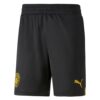 10004 PACK MANCHESTER CITY EXTERIEUR RUBEN DIAS. ENSEMBLE ADULTE MAILLOT ET SHORT 2022 2023