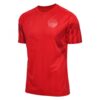 11224 MAILLOT DANEMARK DOMICILE 2022 2023