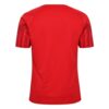 11225 MAILLOT DANEMARK DOMICILE 2022 2023