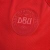 11226 MAILLOT DANEMARK DOMICILE 2022 2023