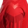 11229 MAILLOT DANEMARK DOMICILE 2022 2023