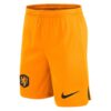 11242 PACK PAYS BAS DOMICILE. ENSEMBLE ADULTE MAILLOT ET SHORT 2022 2023